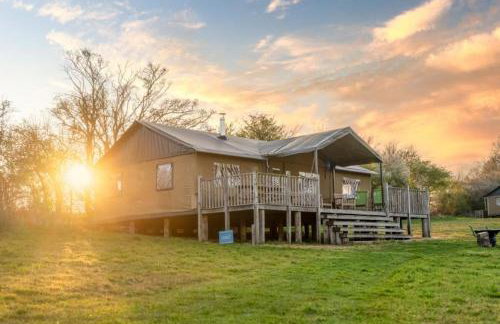 Linnet - Sweffling Hall - Foto 1