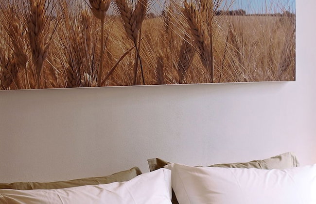 Castello di Granarola Relais - Adults Friendly - - Photo 117