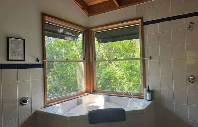 Bluegums Cabins Barrington Tops - Photo 54