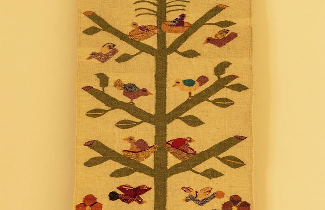 Casa Jacarandas - Photo 62