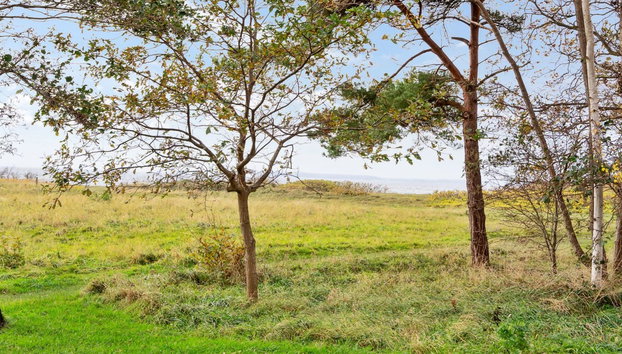 "Thara" - 100m from the sea - Foto 4, Outdoor
