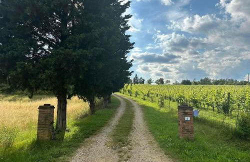 Salceta, a Tuscany Country House - Photo 12