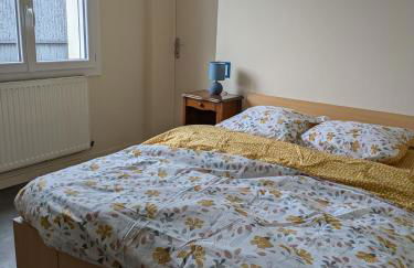 Maison Gîte adapté Handicapé et PMR - Foto 19