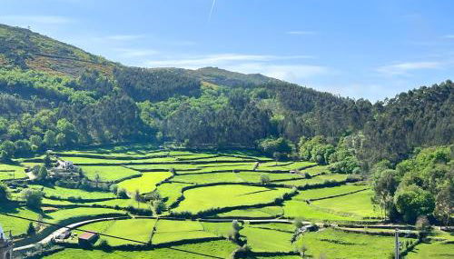 Refúgio Rural Ponte de Lima - Vista Verde e Tranquilidade - Foto 1