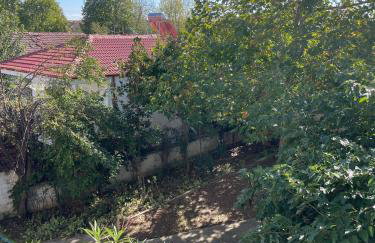 The Nest in Mandra - Foto 14