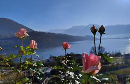 Casa Vacanza Biasi - Foto 16