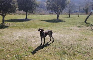 Gîtes des Deux Vallées La Borieta du Causse - Rocamadour - Foto 24