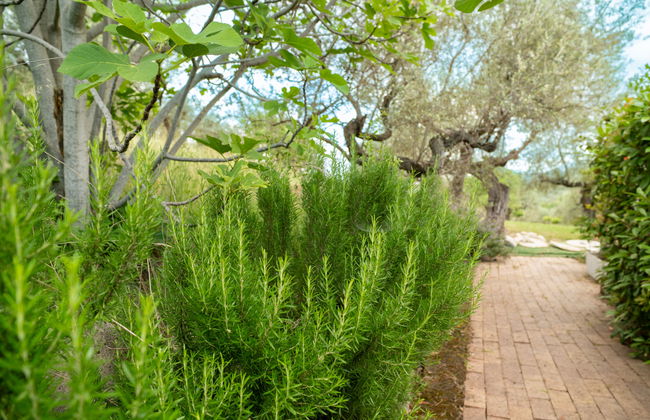 Villa Elster - Foto 32