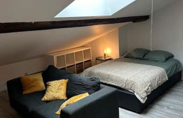 Studio Metz centre & gare - Photo 4