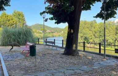 La casa di Ciccio - Foto 7