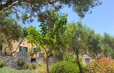 AMPELIA KYTHIRA - Foto 77