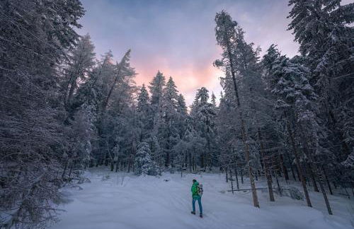 Ferienwohnungen Fichtelgrün - Foto 66
