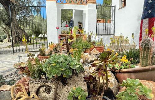 Andalusian Retreat for Groups - Foto 36