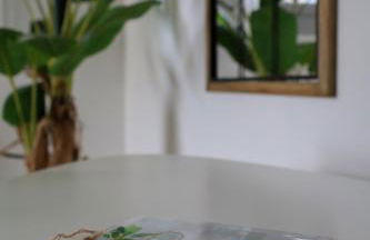 Le Studio Cosy - Foto 13