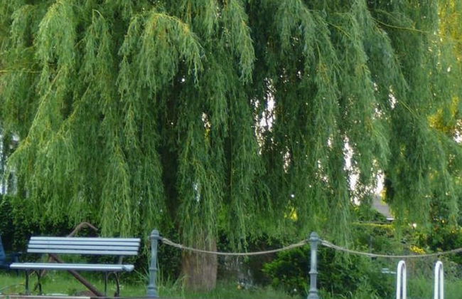 Cheerful Apartment in Wilhelmshof Usedom near Baltic Sea - Foto 24