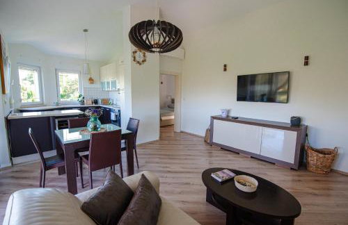 Apt - Villa Sambije with swimming pool, Dobrec - Opatija - Foto 29