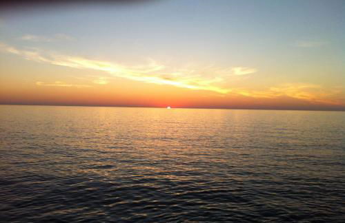 White lilies the house of gourmet flavours - Foto 39