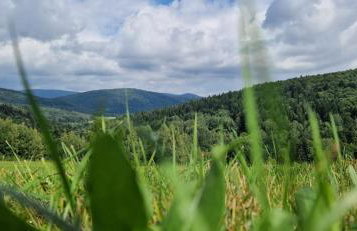 W dolinie Huty - Foto 23