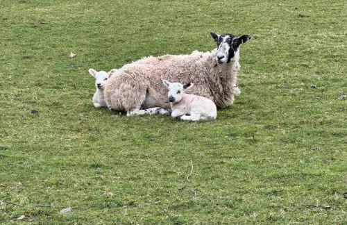 Dunmallet - Pooley Bridge - Foto 3