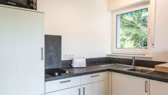 1-Zimmerapartment Am Hochwald - Foto 3, stove, dishwasher