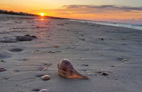 Tortuga Tillys - Foto 21