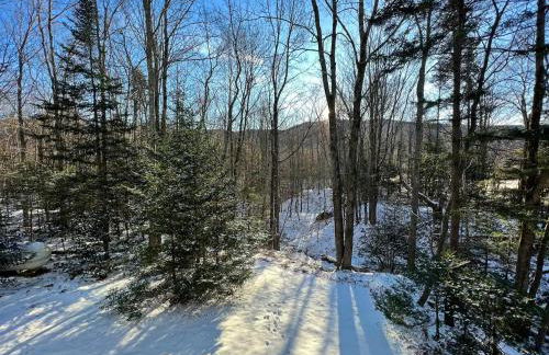 Cozy Chalet at Jay Peak - Foto 6