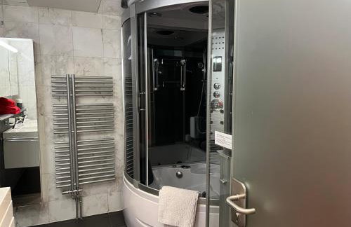 Excl Ferienwohnung im Dreiländereck D-F-CH mit beheiztem kl Pool zum Schwimmen und Massieren - Foto 33