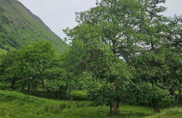 Regina apartment in Fort William - Foto 51