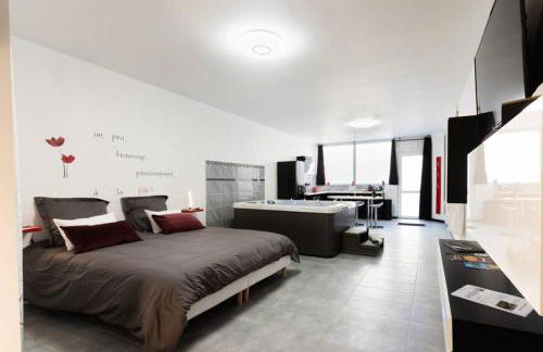 Nuit romantique avec Jacuzzi SPA privatif proche TOULOUSE - Foto 24