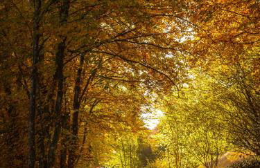 Appartamento A Due Passi - Foto 35