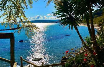 L'uliveto sui Trabocchi - Foto 25