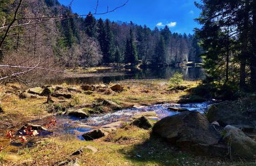 Le Giromagite au pied du Ballon d'Alsace - Foto 21