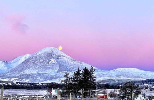 Knockenhooley Cottage - Foto 54