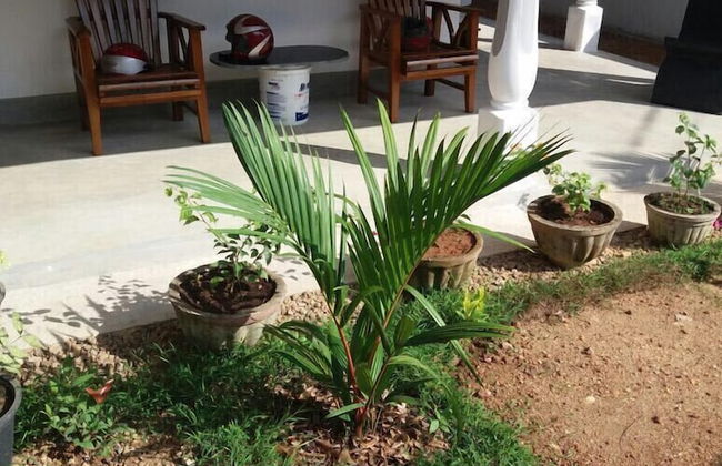 White Lotus Villa - Photo 3