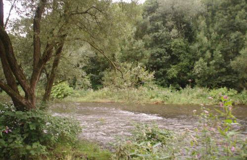 Ferienwohnung Villa Weyermann - Foto 68