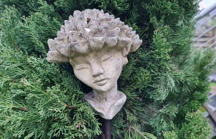 Kleine Oase - Foto 37