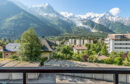 Grand Studio 25 m2, lumineux, central, vue Mont-Blanc - Photo 1