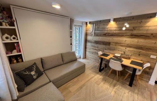 Rosina appartamento Madesimo centro - Foto 27