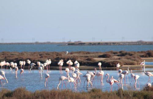 Gîte La Tchoupetta - Foto 25