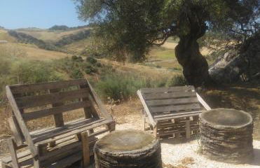 Casa Montelucía - Foto 41