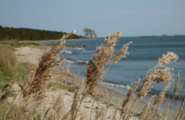 Holiday Home \"baltic Sea Dream\" - Foto 24