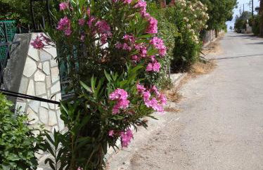 The Lemon House by The Sea - Foto 13