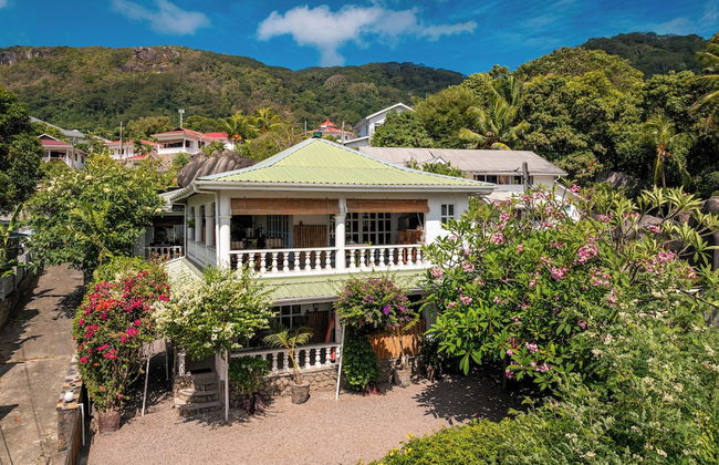 Beau Bamboo - Foto 68