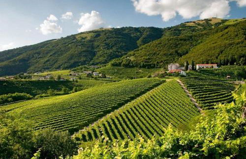 Follinetta10 - enjoy holiday home in the Prosecco hills - Foto 28