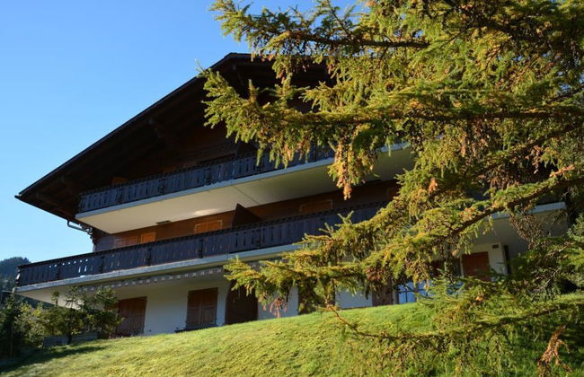 Hornflue (Wohlwender) - Foto 2