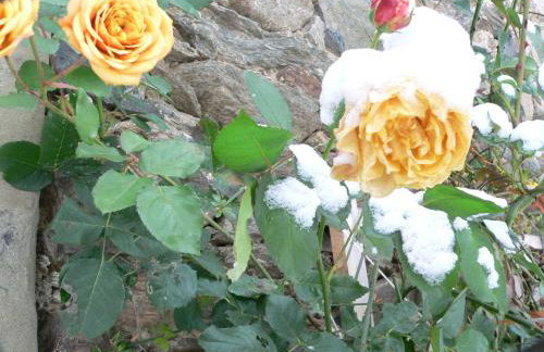 STARA PLEBANIA - Foto 40