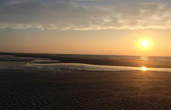 Studio in Domburg Near Beach and Golf - Photo 30