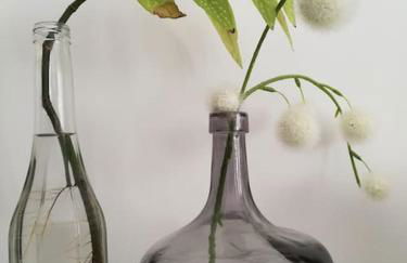 Le Patio 4*. SPA, jardin, piscine en provence, proche Grignan - Foto 25