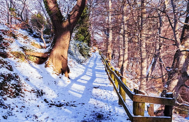 East Wing Apartment - Foto 40