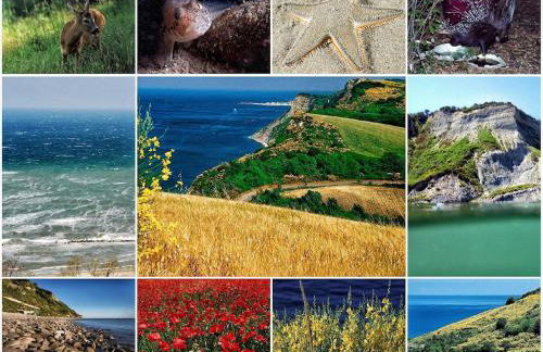 Casa Marola - Foto 21